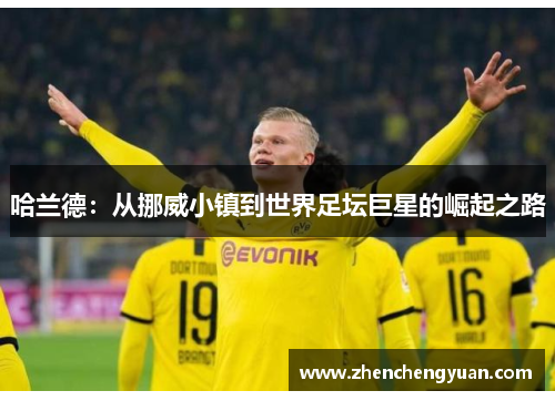 哈兰德：从挪威小镇到世界足坛巨星的崛起之路