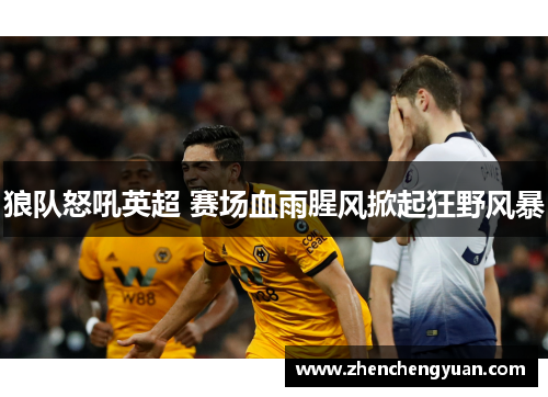 狼队怒吼英超 赛场血雨腥风掀起狂野风暴