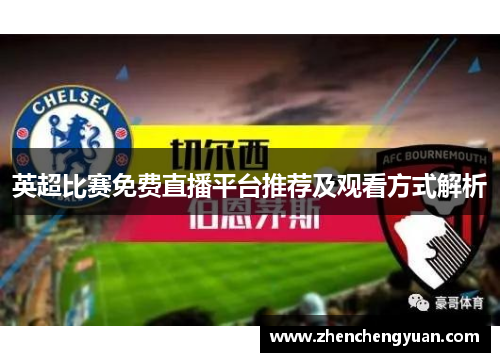 英超比赛免费直播平台推荐及观看方式解析